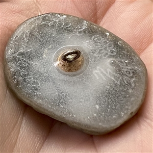 Pâte de verre studio glass button of an octopus by Nancy DuBois.