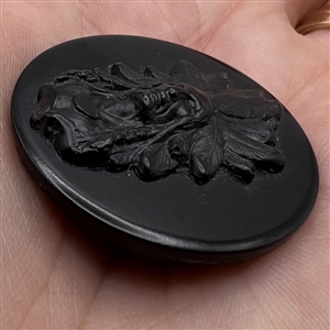 Native American chief button.