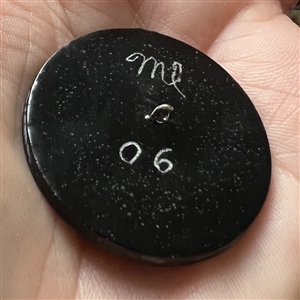 Native American chief button.
