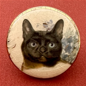 Ceramic studio button of a cat by Stella Rzanski. 