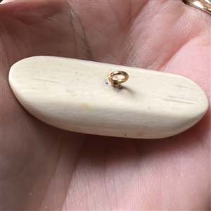 Scrimshaw button of a seal on natural material.
