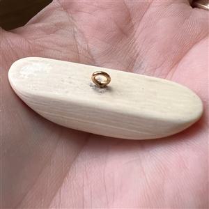 Scrimshaw button of an Eskimo riding in a dogsled on natural material.