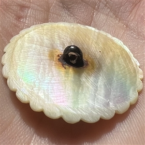 An 18th c. Carved pearl with steel button.