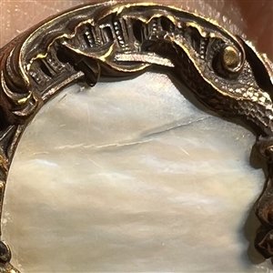 Shell set in brass button with elaborate pictorial border.
