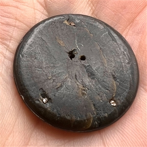 Carved shell button of a crane on shell.
