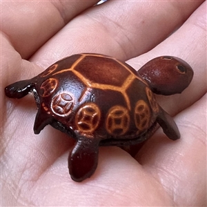 Leather realistic turtle button.