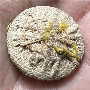 An 18th c. French Passementerie button.