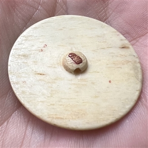 Carved natural material button of two chickens.