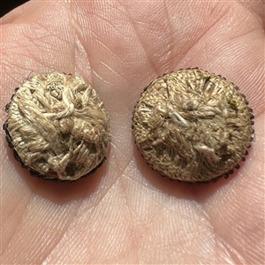 Two 18th c. French Passementerie buttons.