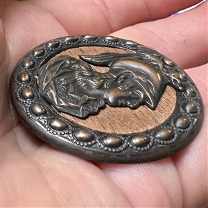 Stamped brass button of Minerva with wood background.