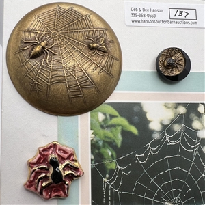 Card of ten spider buttons.