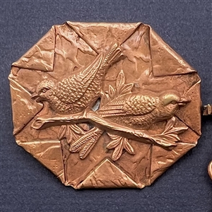 Buckle closing of birds on branch.