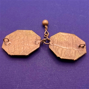 Buckle closing of birds on branch.