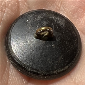 Horn inlay button of a violet.
