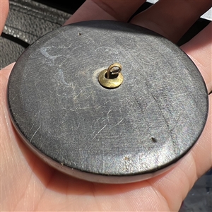 HUGE wood button with a crane under glass.