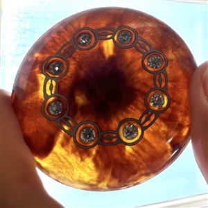 Extra large tortoise shell button with pastes.