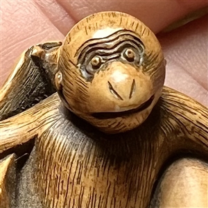 Monkey holding a fish netsuke.