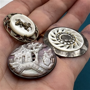 Three interesting shell buttons.