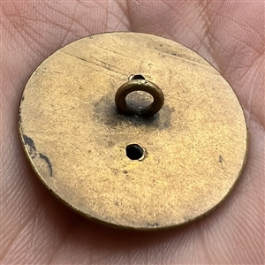 Imitation Satsuma brass button of iris. 