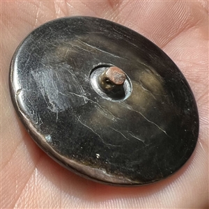 Grey pearl button with incised design of flower.