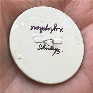Studio button of xylophone with notes by Shirley Burgess.