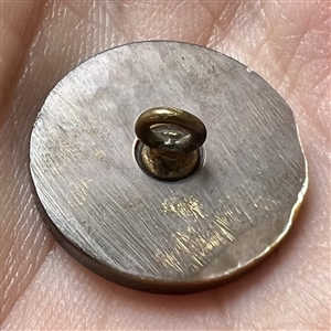 Iridescent pearl of Asian couple over smoky pearl button.