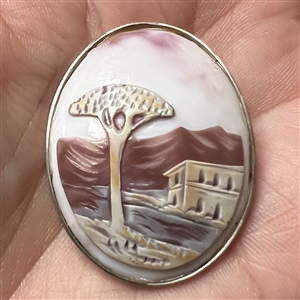 Cameo carved helmet shell of a landscape with tree.