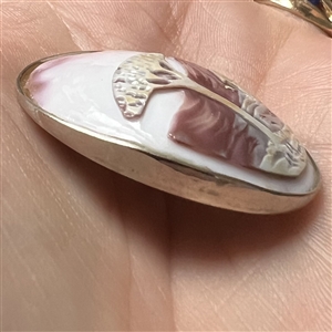 Cameo carved helmet shell of a landscape with tree.