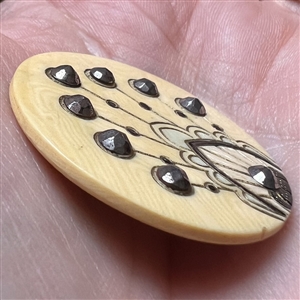 Celluloid button with facetted steels.