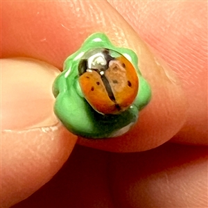 Mary Gaumond’s DIMINUTIVE lady bug studio glass button.