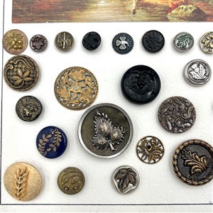 Card of forty plant life buttons.
