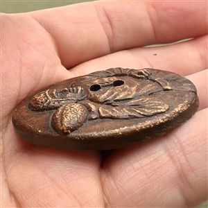 Burwood button of a football player.
