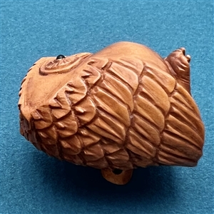 Boxwood button of wise owl.