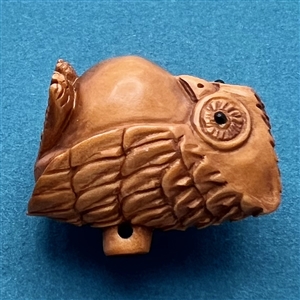 Boxwood button of wise owl.