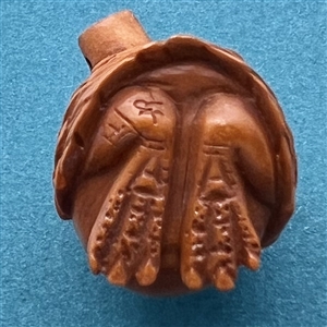 Boxwood button of wise owl.