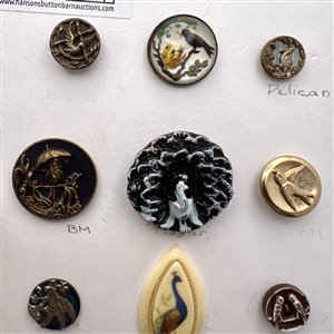 Card of twelve bird buttons.