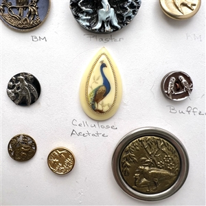 Card of twelve bird buttons.