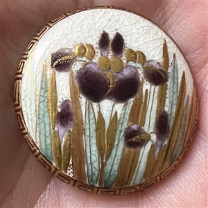 Satsuma button of an Iris bloom.