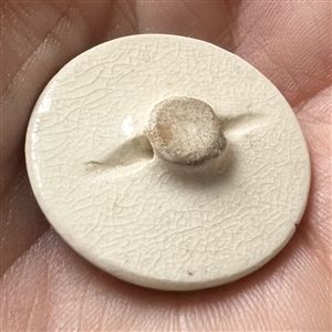 Satsuma button of an Iris bloom.