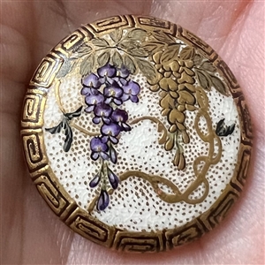 Satsuma button of Wisteria.