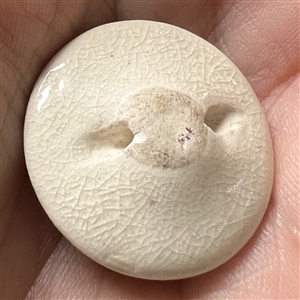 Satsuma button of a bird flying under Wisteria.