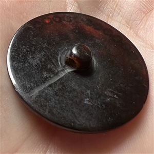 Translucent tortoise button with shell and metal inlay.