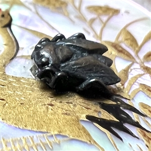 Shell button of a water bird with metal fly.