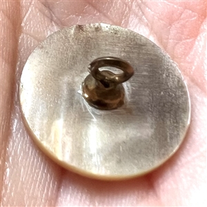 Shell button of a water bird with metal fly.
