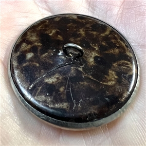 RARE large “Crossing the Stream” brass button.