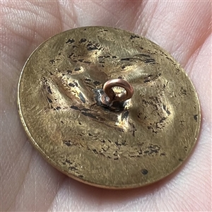 “Theodore Roosevelt hunting big game” button.