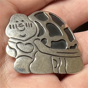 Silver button of a turtle.