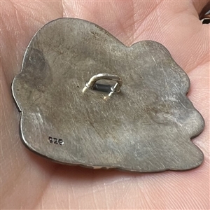 Silver button of a turtle.