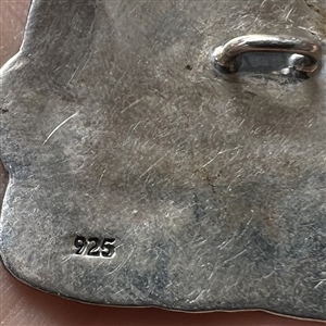 Silver button of a turtle.