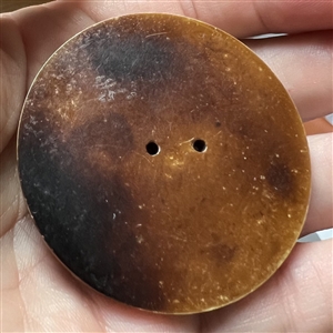 Extra large casein button of an open book.